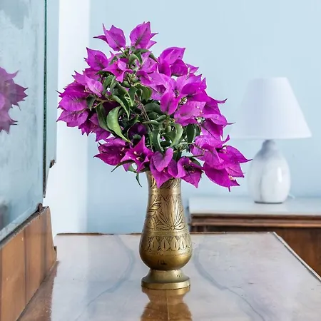 The Maritime House Holiday home Skopelos Town